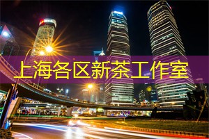 上海各区新茶工作室：上海的地下文化与夜经济的交融